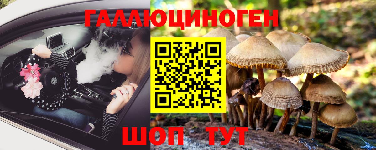 Томск  Галлюциногенные грибы Cubensis  сколько стоит  Вход с VPN 