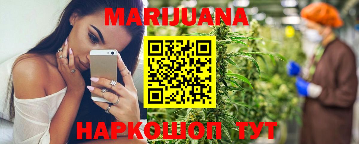Канабис планчик Томск